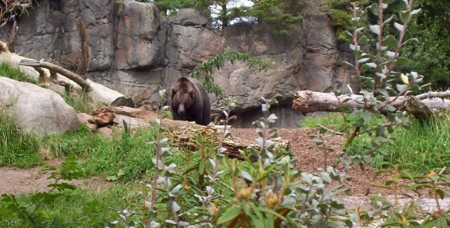 Woodland Park Zoo, Washington, USA